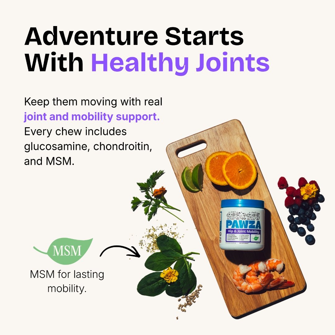 Adventure starts with healthy joints, glucosamine, chondroitin, MSM