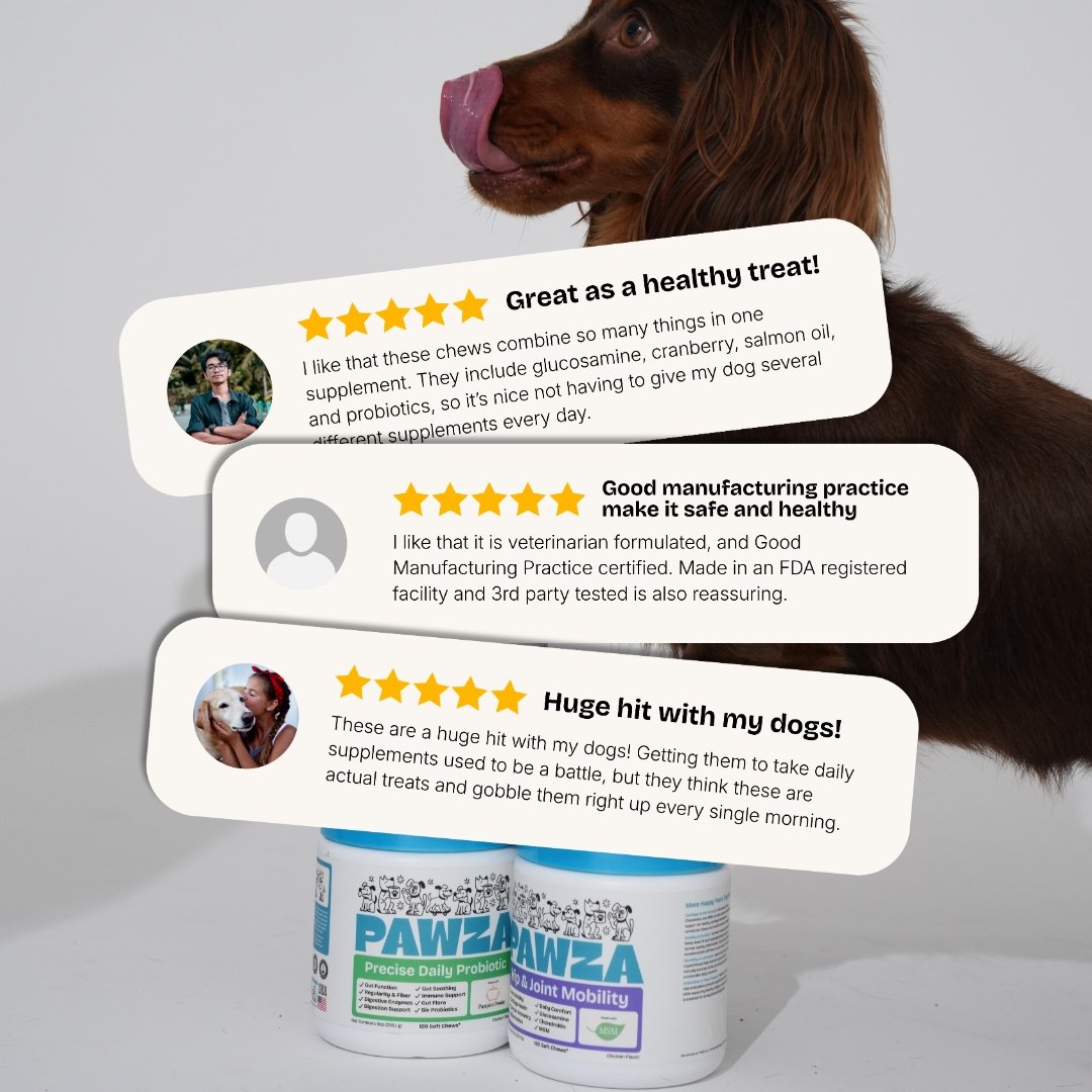 5-star reviews from dog parents