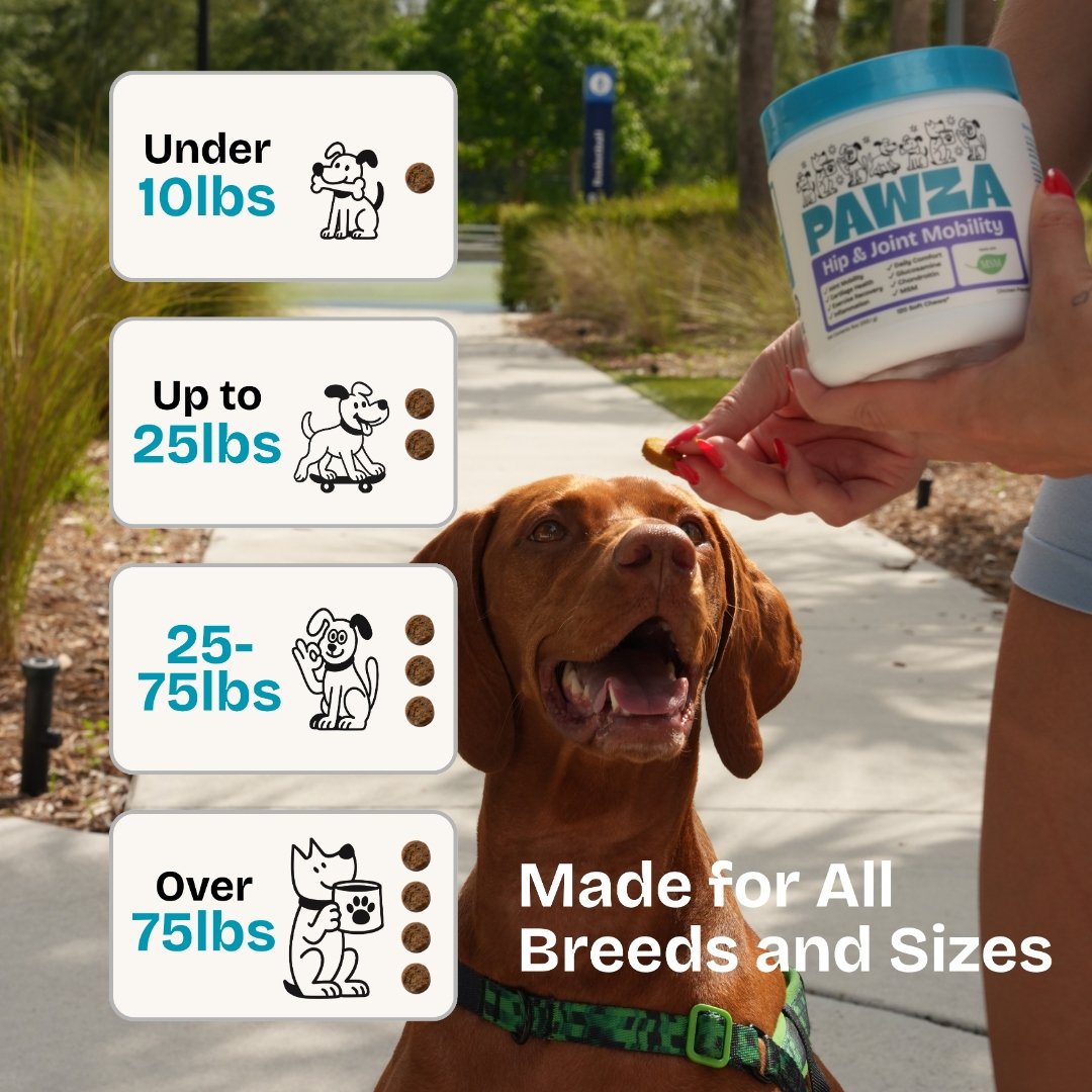 Made for all breeds and sizes