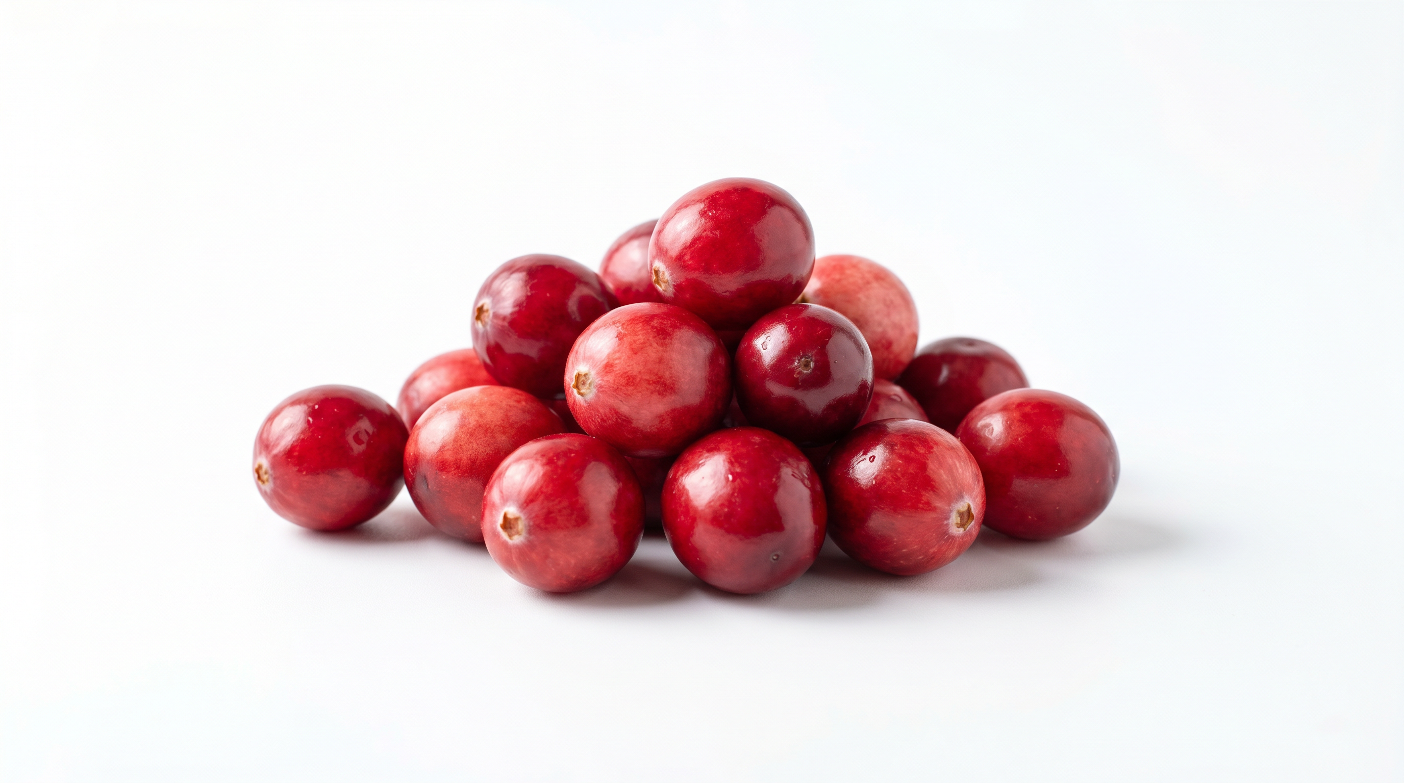 Fresh cranberries