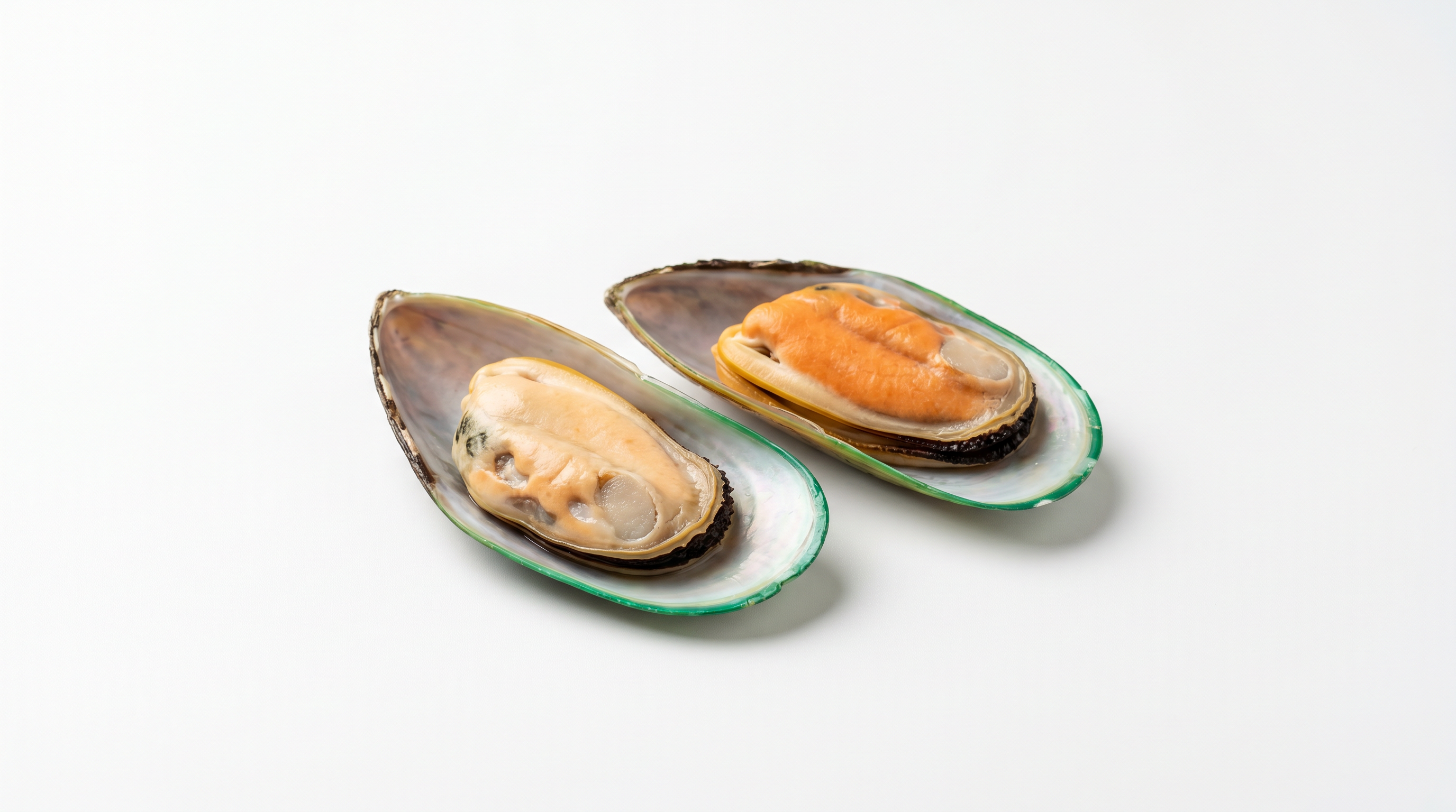 Fresh green lipped mussels