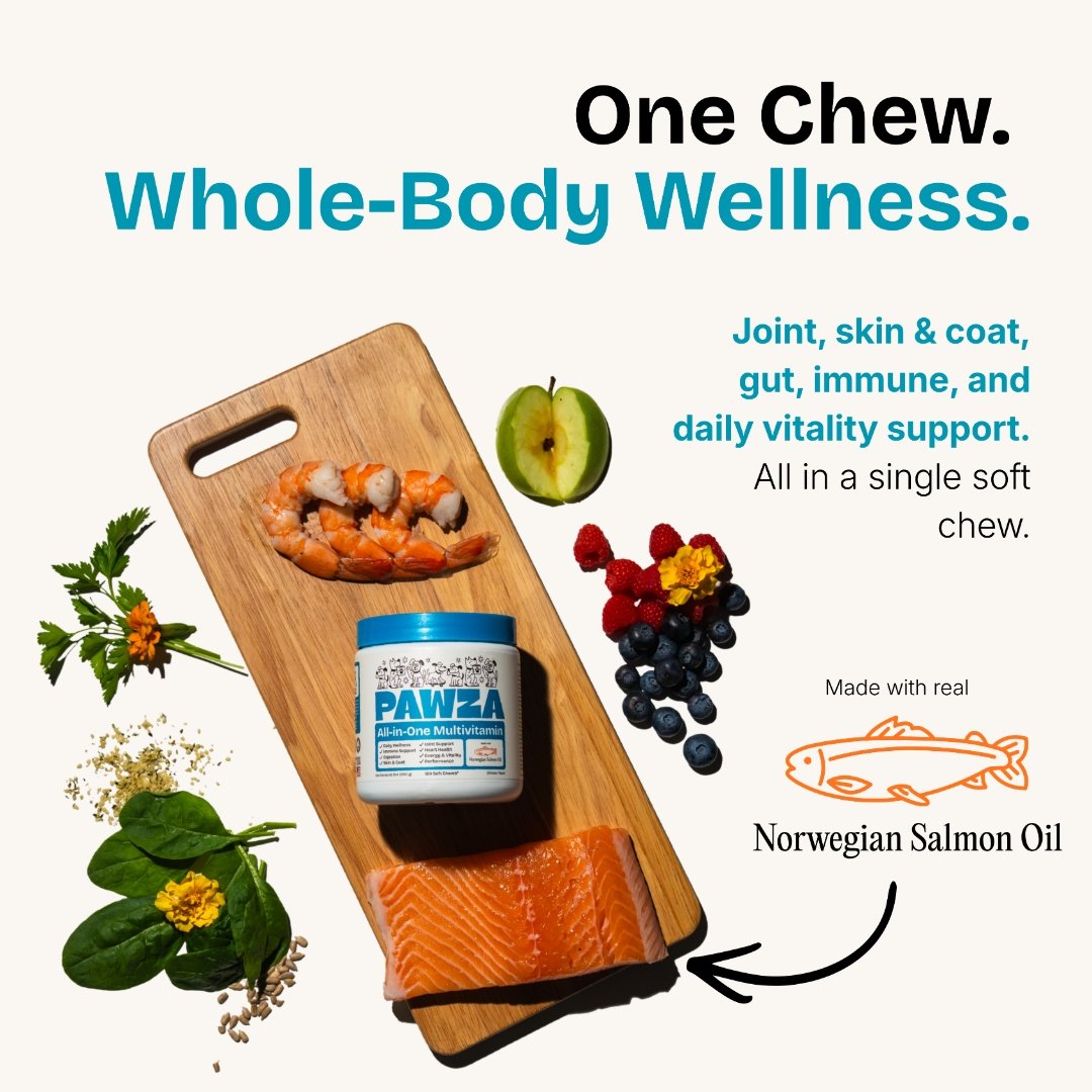 One chew, whole-body wellness with real ingredients