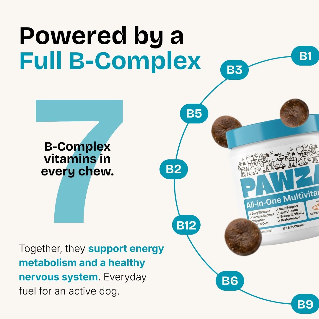 Powered by a full B-complex, 7 B-vitamins per chew