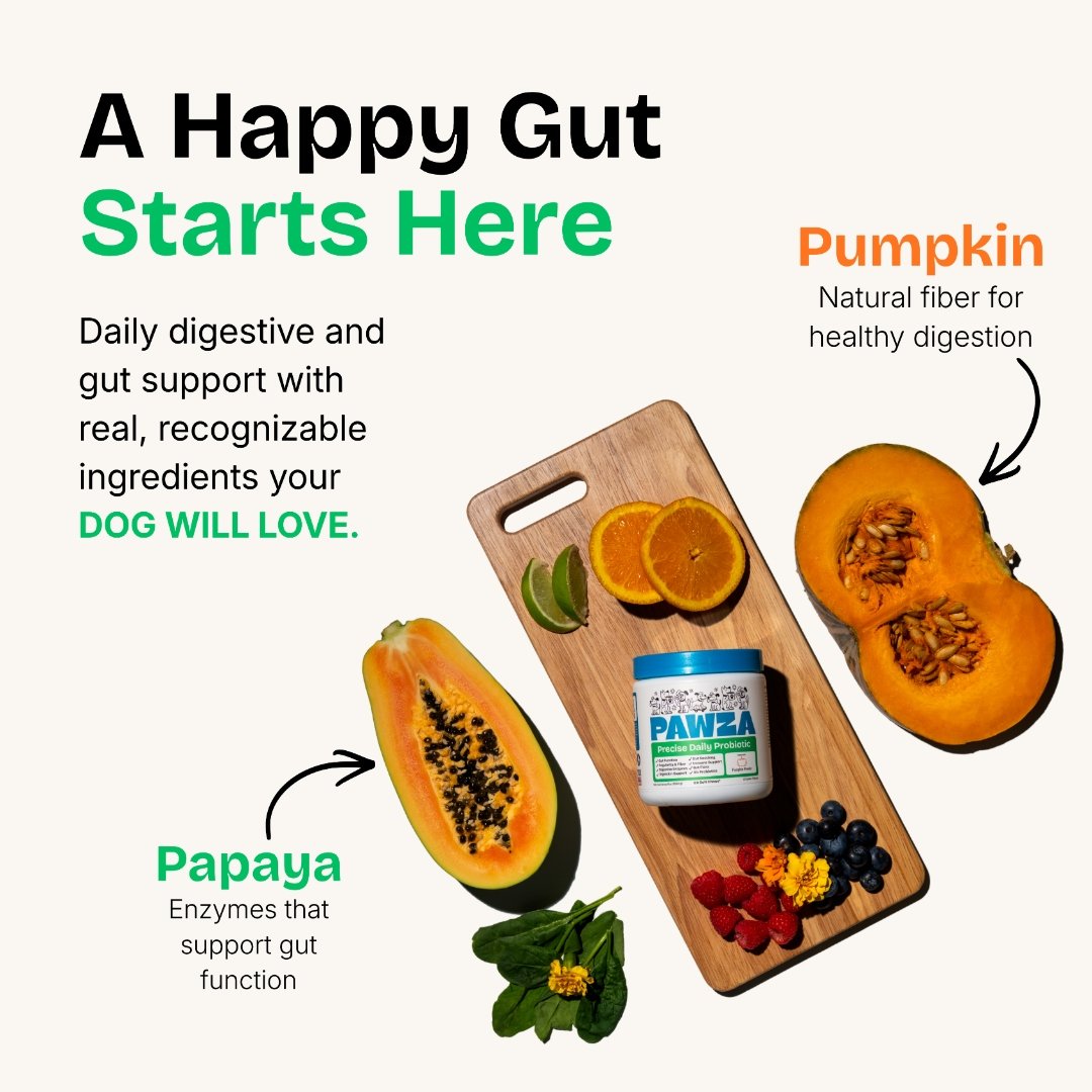 A happy gut starts here, real ingredients including pumpkin and papaya