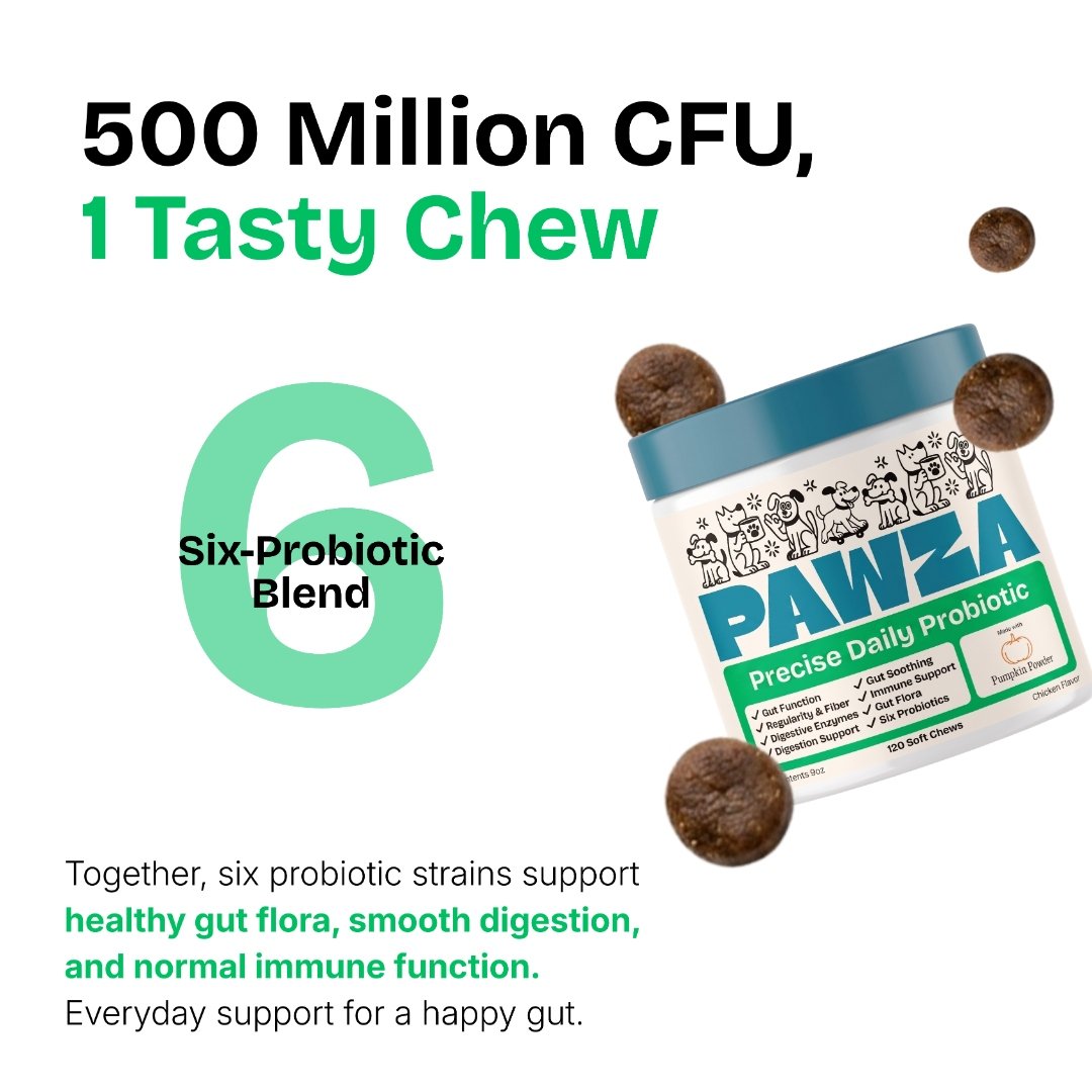 500 million CFU in one tasty chew, six-probiotic blend