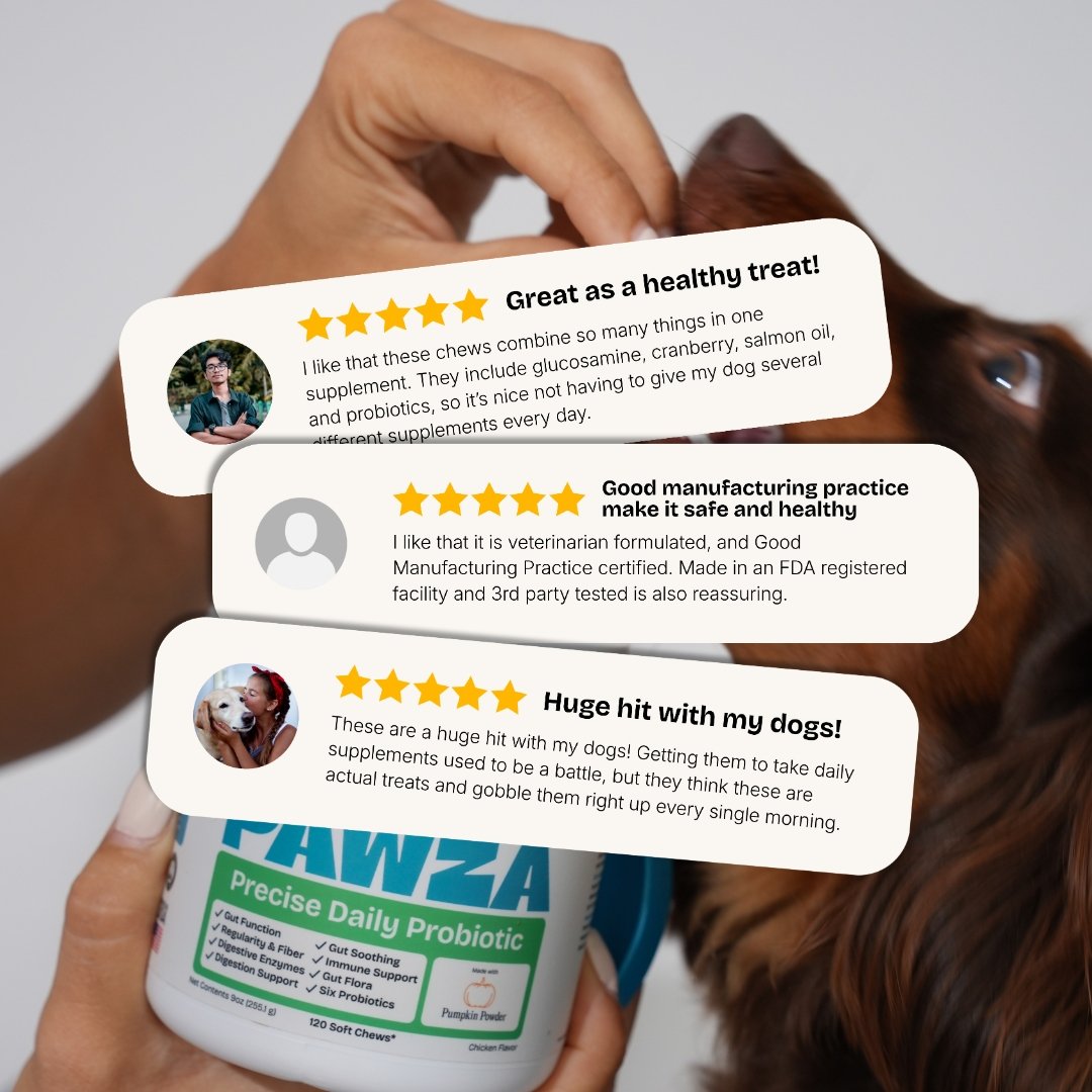 5-star reviews from dog parents